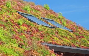 Fonthill Gifford living roof systems