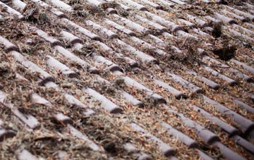 Fonthill Gifford roof cleaning companies