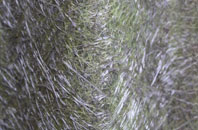 Fonthill Gifford fibreglass roof work